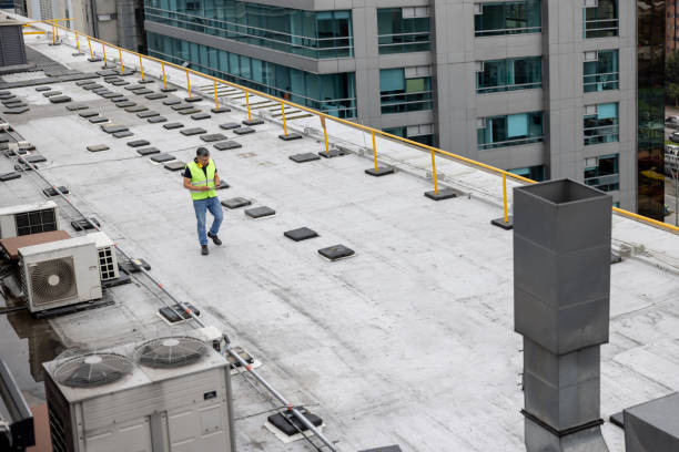 Best Roof Insulation Installation  in Pearl City, HI